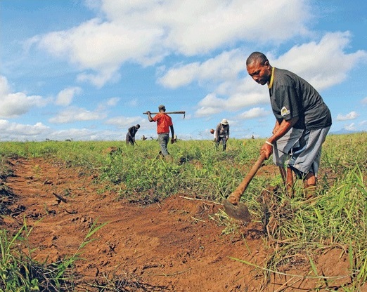 Mhoje_agriculture_photo_jpg