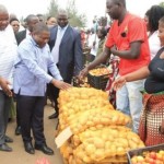 clubofmoz_zimpeto_nyusi