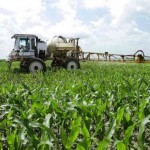 mozambique_food_production_metical