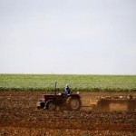 Farmers work on a land outside Lichtenburg, a maize-growing area in the North West province, South Africa November 26, 2015. REUTERS/Siphiwe Sibeko