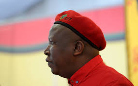 Mhoj_malema_photo_jpg