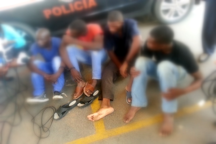 Mhoje_Folhagang1_photo_jpg