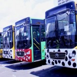 Mhoje_buses100_photo_jpg