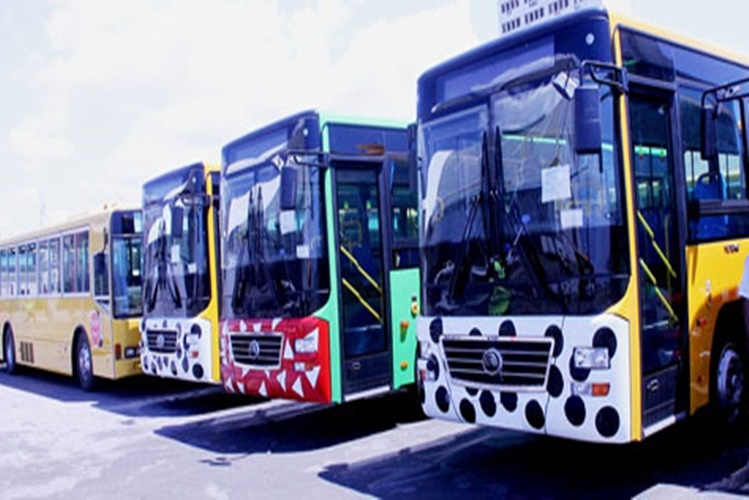 Mhoje_buses100_photo_jpg