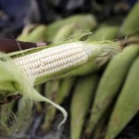 A hawker prepares a cob of corn at his makeshift shop in Soweto, January 27, 2016.    REUTERS/Siphiwe Sibeko
