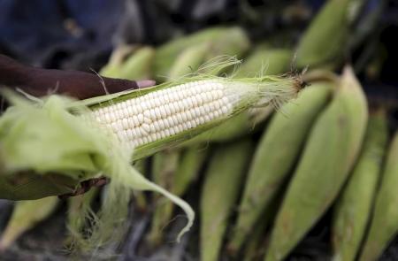 A hawker prepares a cob of corn at his makeshift shop in Soweto, January 27, 2016.    REUTERS/Siphiwe Sibeko