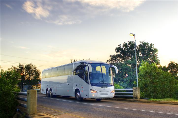Mhoje_daimlertrucksfile_photo_jpg