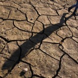 Mhoje_droughtmoz_photo_jpg (1)