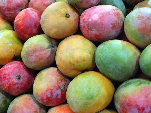 Mhoje_mangofruits7_photo_jpg