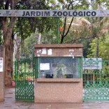 Mhoje_maputozoo5_photo_jpg