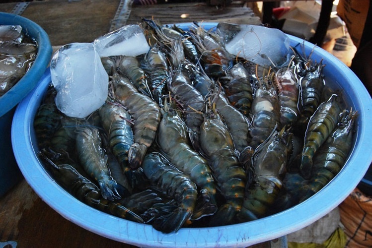 Mhoje_mercadodopeixefm_photo_jpg