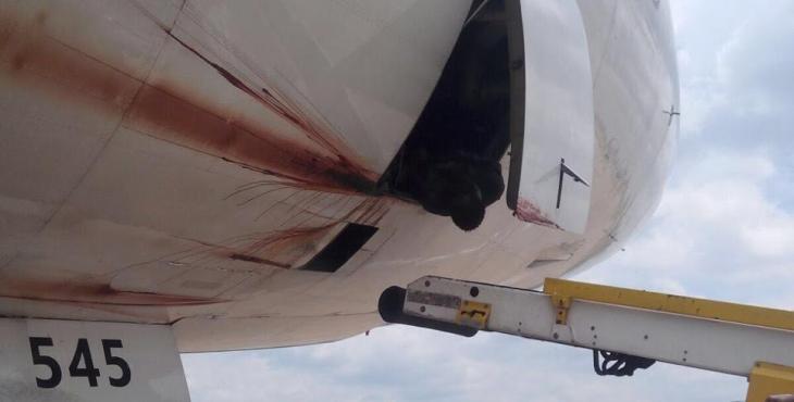 Mhoje_misteryaircraft_photo_jpg