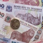 Mhoje_tanzaniamoney_photo_jpg