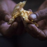 Mhoje_unicefafrica_photo_jpg