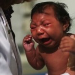 Mhoje_zikavirus7_photo_jpg