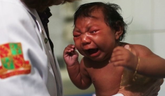 Mhoje_zikavirus7_photo_jpg