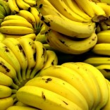 MHoje_bananas1_photo_jpg