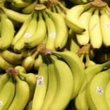Mhoje_bananassadc_photo_jpg