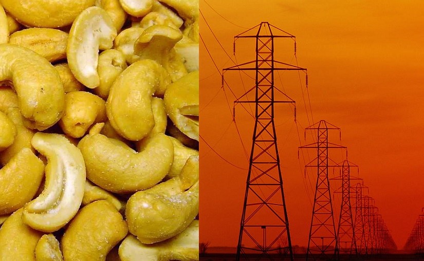 Mhoje_cashewandpower_photo_jpg