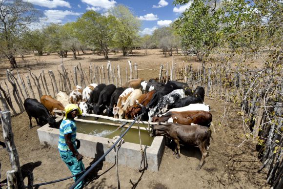 Mhoje_displaced_photo_jpg