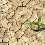 Mhoje_drought7_photo_jpg