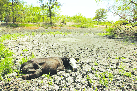 Mhoje_droughtsadc_photo_jpg