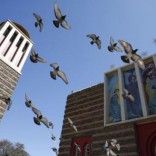 Pigeons fly outside the Nda Mariam Orthodox Cathedral in Eritrea's capital Asmara, February 16, 2016.    REUTERS/Thomas Mukoya