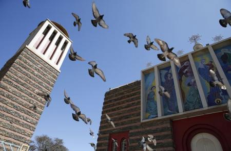 Pigeons fly outside the Nda Mariam Orthodox Cathedral in Eritrea's capital Asmara, February 16, 2016.    REUTERS/Thomas Mukoya