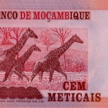 Mhoje_meticalnew7_photo_jpg