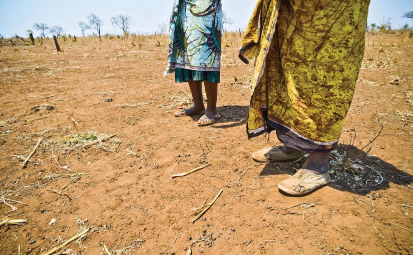 Mhoje_mwaladzihrw_photo_jpg