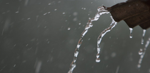 Mhoje_rainpemba_photo_jpg