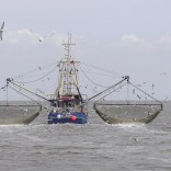 Mhoje_tunafishing_photo_jpg