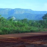 Mhoje_zimfarmers_photo_jpg
