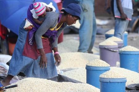 A Zimbabwean woman sells maize in the capital Harare, March 3, 2- RTSAGJ3