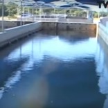 Mhoje_cuambawatertreatment_photo_jpg