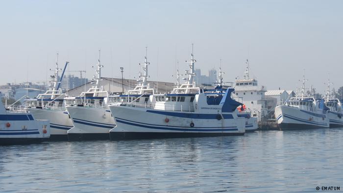 Mhoje_ematumboats_photo_jpg
