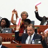 Mhoje_frelimorejectsparliament_photo_jpg