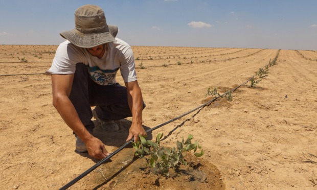 Mhoje_israeldrought_photo_jpg