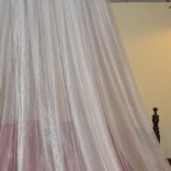 Mhoje_mosquitonetsaotome_photo_jpg
