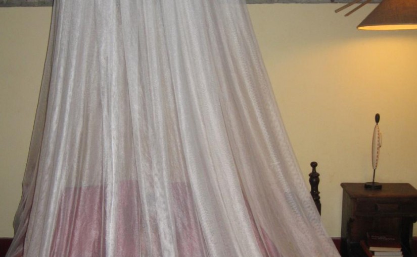 Mhoje_mosquitonetsaotome_photo_jpg