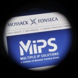 The website of the Mossack Fonseca law firm is pictured through a large format lens in Bad Honnef, Germany April 4, 2016.  REUTERS/Wolfgang Rattay