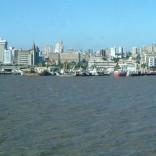Mhoje_mozambiquewikimedia_photo_jpg