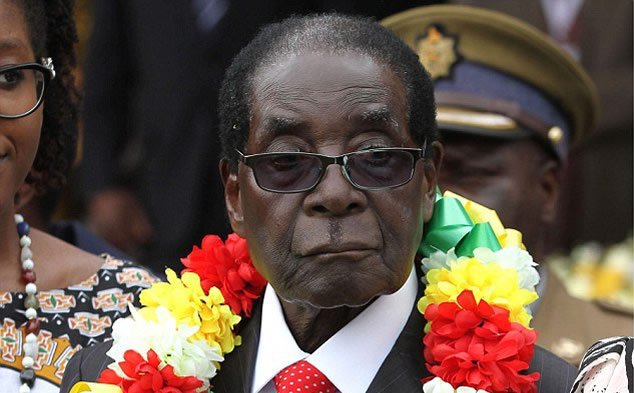 Mhoje_mugabebirthdayvicfalls_photo_jpg