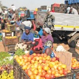 Mhoje_zimpetomarket7_photo_jpg