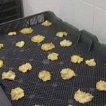 Mhje_fruitfactory_photo_jpg