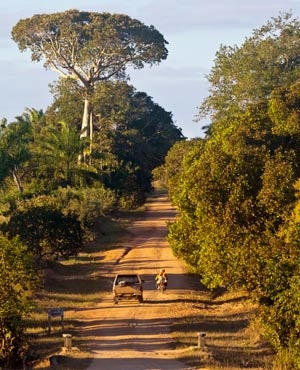 Mhoje-ambush_photo_jpg