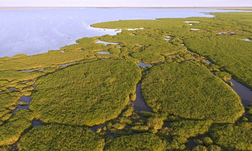 Mhoje_biodiversity_photo_jpg