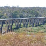 Mhoje_gorongosabridge_photo_jpg