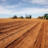 A farmer inspects the soil ahead of planting at a maize field in Wesselsbron, a small maize farming town in the Free State province of South Africa, January 13, 2016. REUTERS/Siphiwe Sibeko/File Photo