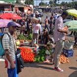 Mhoje_marketxiquelene7n_photo_jpg